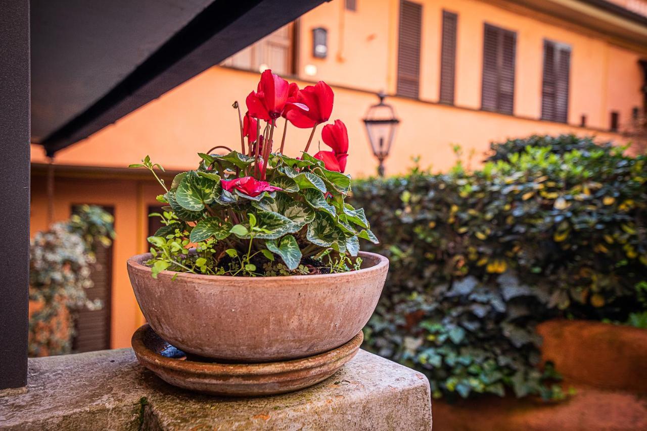 Cosy Studio In The Greenest Corner Of Trastevere Rome Bagian luar foto